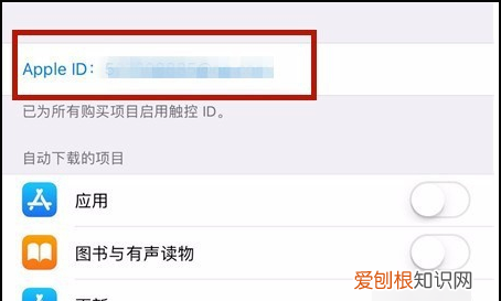 苹果怎么取消连续包月服务,苹果连续包月怎么取消自动续费