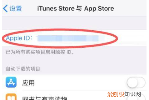 苹果怎么取消连续包月服务,苹果连续包月怎么取消自动续费