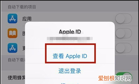 苹果怎么取消连续包月服务,苹果连续包月怎么取消自动续费