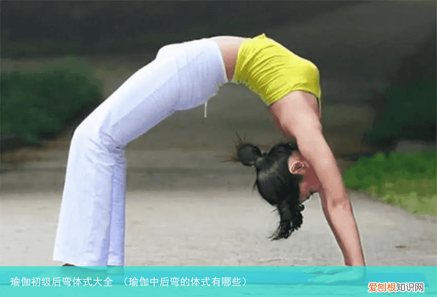 瑜伽中后弯的体式有哪些 瑜伽初级后弯体式大全