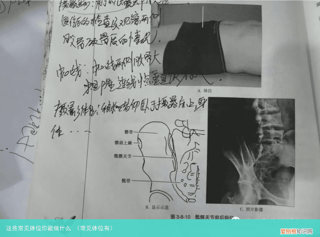 常见体位有 这些常见体位你能做什么
