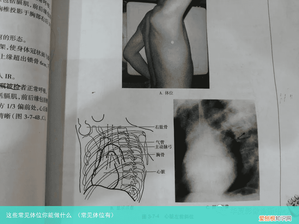 常见体位有 这些常见体位你能做什么