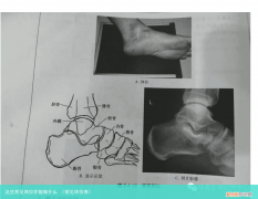 常见体位有 这些常见体位你能做什么