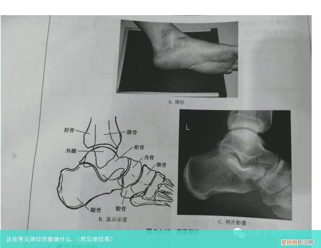 常见体位有 这些常见体位你能做什么