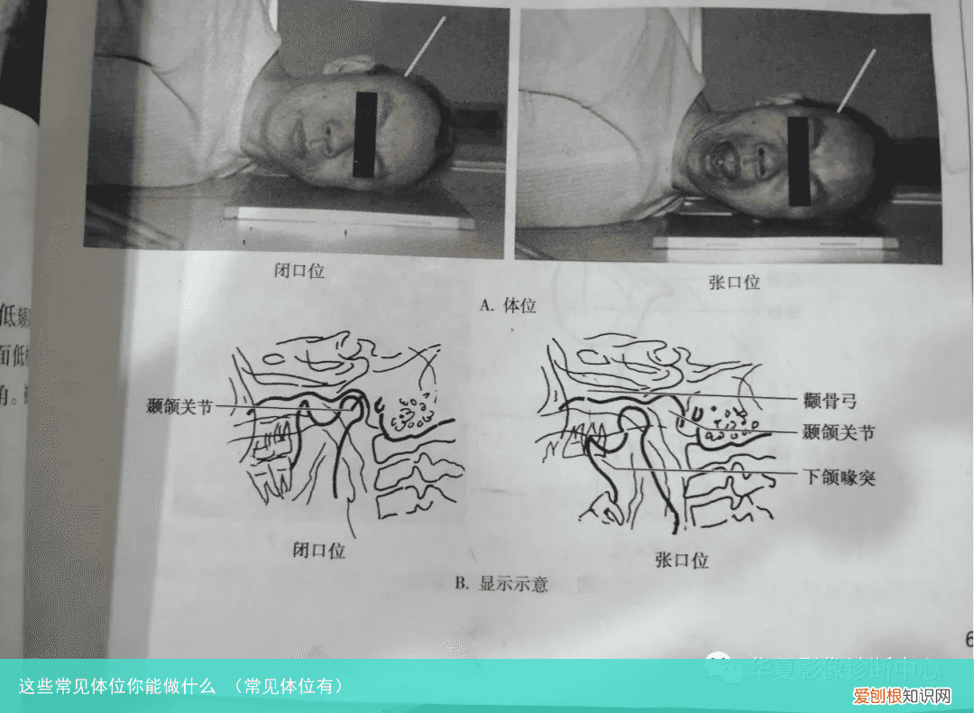 常见体位有 这些常见体位你能做什么