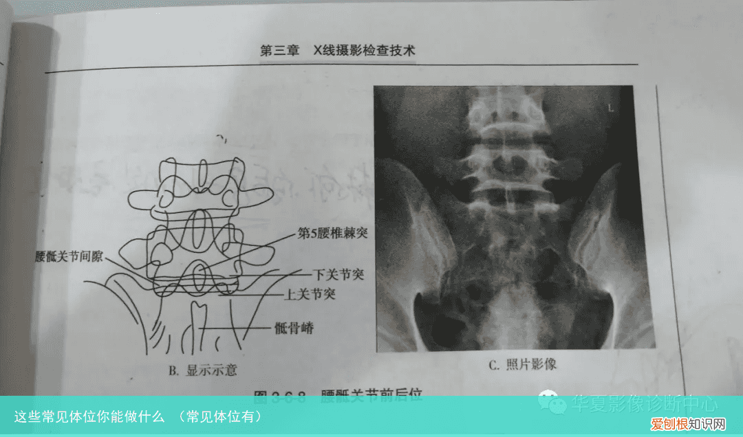 常见体位有 这些常见体位你能做什么