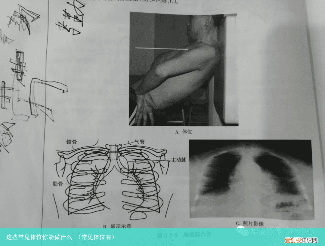常见体位有 这些常见体位你能做什么