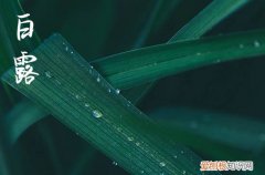 2023年白露日是几月几日