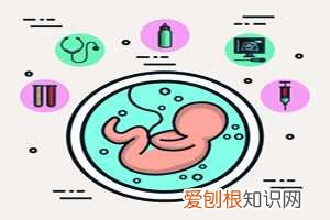怀孕了对着电脑好吗 ，刚怀孕能长期对着电脑嘛