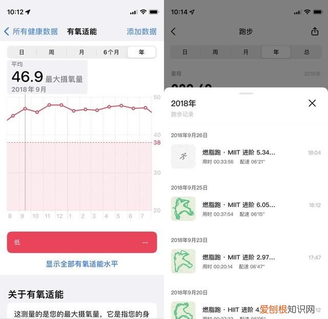 一文看懂iphone自带app健康各项指标