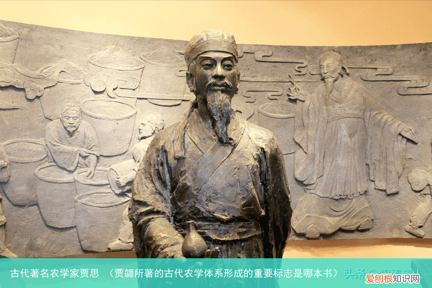 贾勰所著的古代农学体系形成的重要标志是哪本书 古代著名农学家贾思