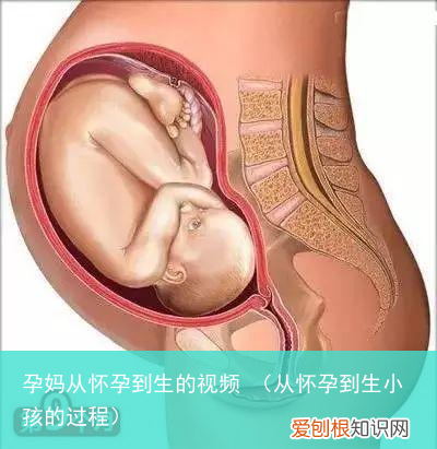从怀孕到生小孩的过程 孕妈从怀孕到生的视频