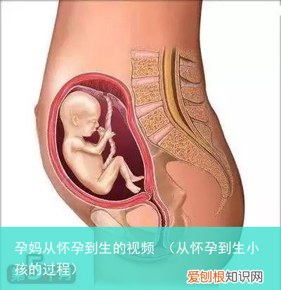 从怀孕到生小孩的过程 孕妈从怀孕到生的视频