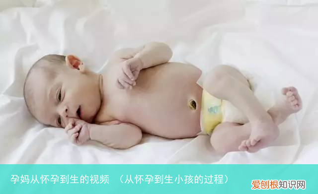 从怀孕到生小孩的过程 孕妈从怀孕到生的视频
