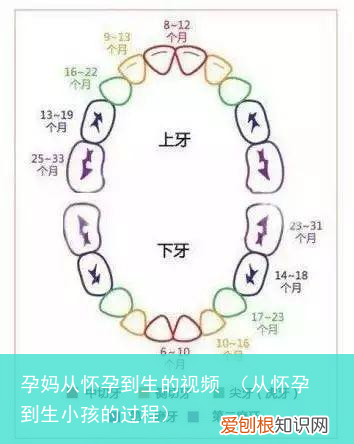 从怀孕到生小孩的过程 孕妈从怀孕到生的视频
