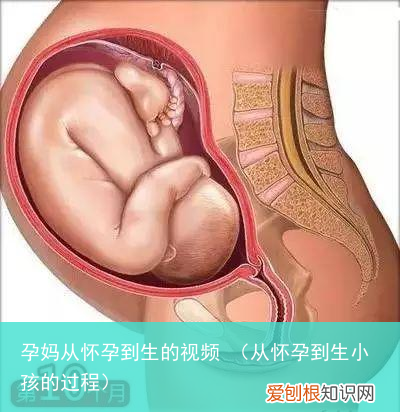 从怀孕到生小孩的过程 孕妈从怀孕到生的视频
