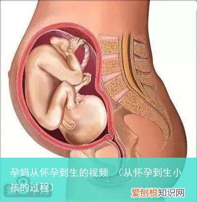 从怀孕到生小孩的过程 孕妈从怀孕到生的视频