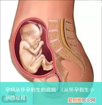 从怀孕到生小孩的过程 孕妈从怀孕到生的视频
