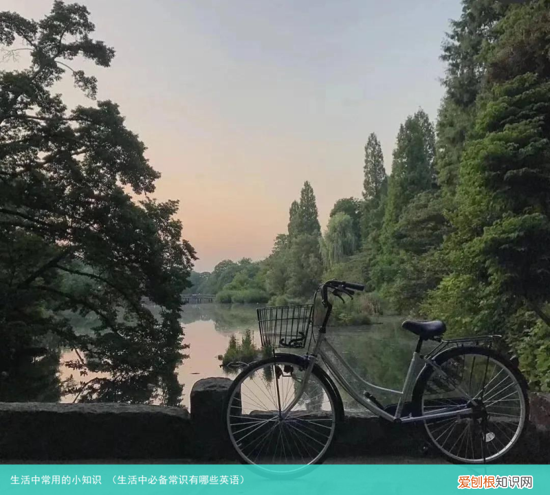 生活中必备常识有哪些英语 生活中常用的小知识