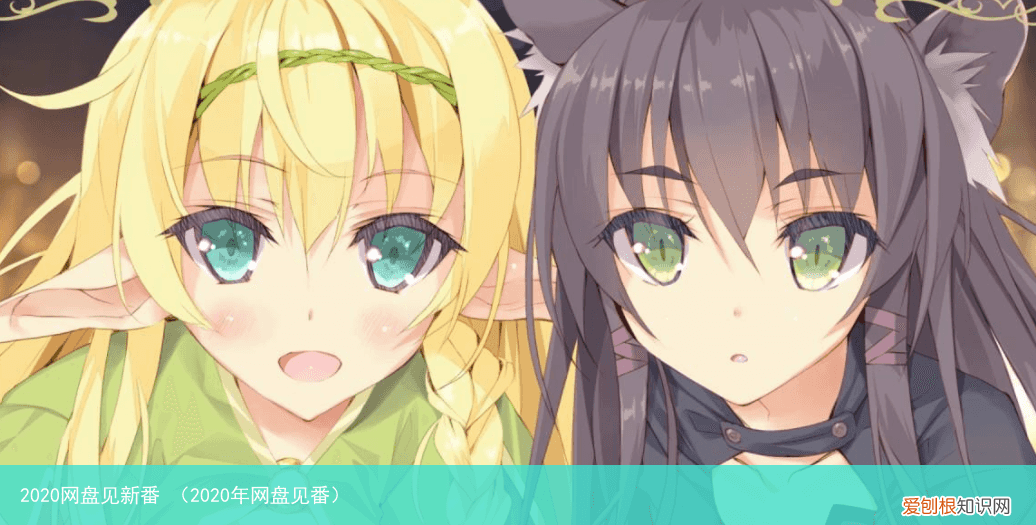 2020年网盘见番 2020网盘见新番
