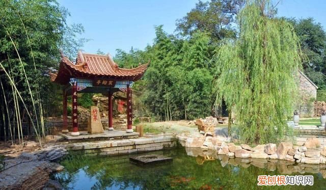 临沂有哪些好玩的地方，临沂市市内有什么好玩的地方