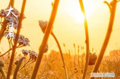 2023年大暑是几月几日几点
