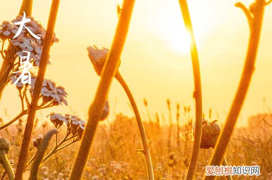 2023年大暑是几月几日几点