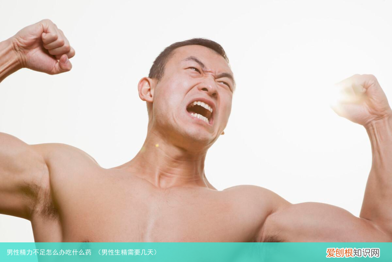 男性生精需要几天 男性精力不足怎么办吃什么药