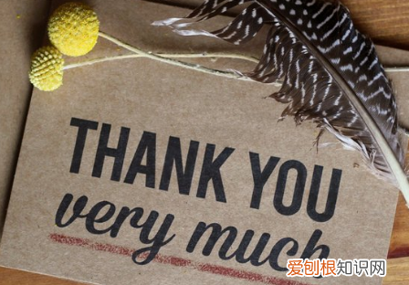 非常你用英文怎么写，我非常讨厌你翻译成英语