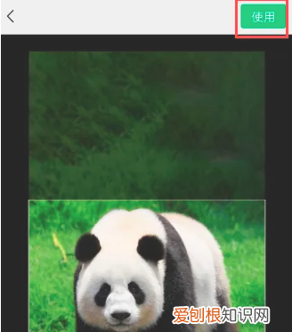 微信运动封面怎么设置，微信中的微信运动的封面怎么更换不了