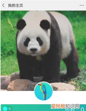 微信运动封面怎么设置，微信中的微信运动的封面怎么更换不了