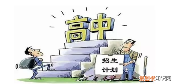 什么叫分配生，分配生是什么意思