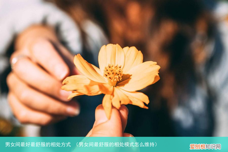 男女间最舒服的相处模式怎么维持 男女间最好最舒服的相处方式
