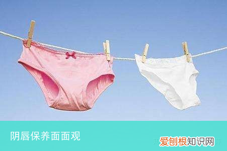 阴唇保养面面观