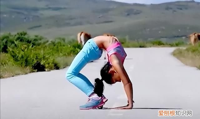 折叠女孩完整