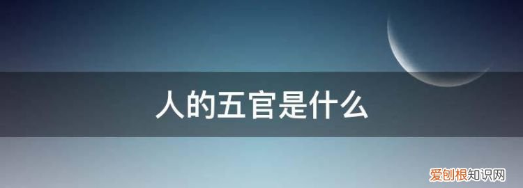 夸你五官精致 夸一个人五官精致怎么夸