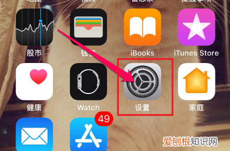 苹果权限管理在哪里找，ios摄像头权限在哪里设置