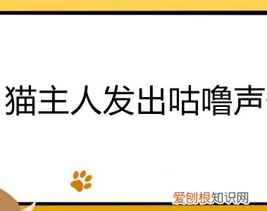 猫发出咕噜声表示什么 猫主人发出咕噜声代表什么