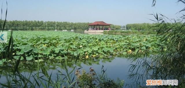 河北人喜欢什么口味的菜 河北人喜欢别人怎么称呼