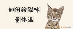 如何给猫咪量体温,猫咪，怎么给小猫咪量体温