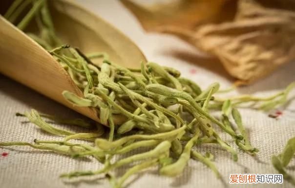 金银花的功效是啥 金银花的功效的作用和副作用