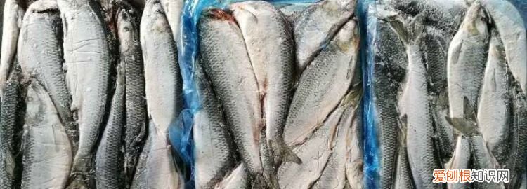 鲱鱼罐头是什么样的臭味 鲱鱼罐头是什么味儿