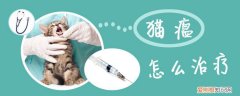 猫瘟,猫，猫瘟猫已经吐了是不就没救了