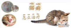 猫癣,猫，猫癣猫会疼吗