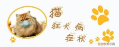 猫狂犬病,猫，猫 狂犬 发病
