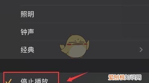 苹果音乐怎么定时关闭,电脑网易云定时关闭在哪里