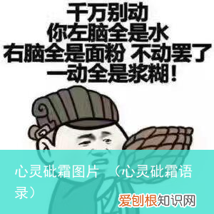 心灵砒霜语录 心灵砒霜图片