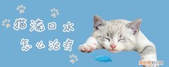 猫流口水,猫，猫咪 流口水