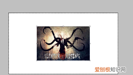 ps怎么调整大小,如何在ps中调整大小