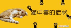 猫中毒的症状,猫，猫中毒会出现什么症状